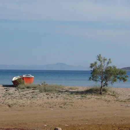 Galatis Алики