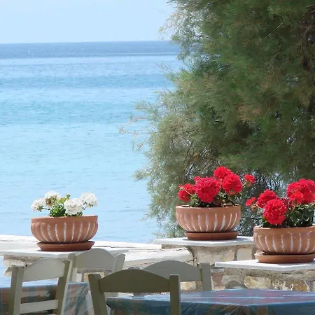 Galatis Alikí